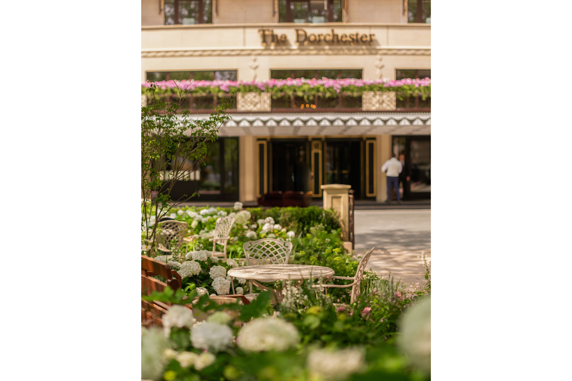 The Dorchester