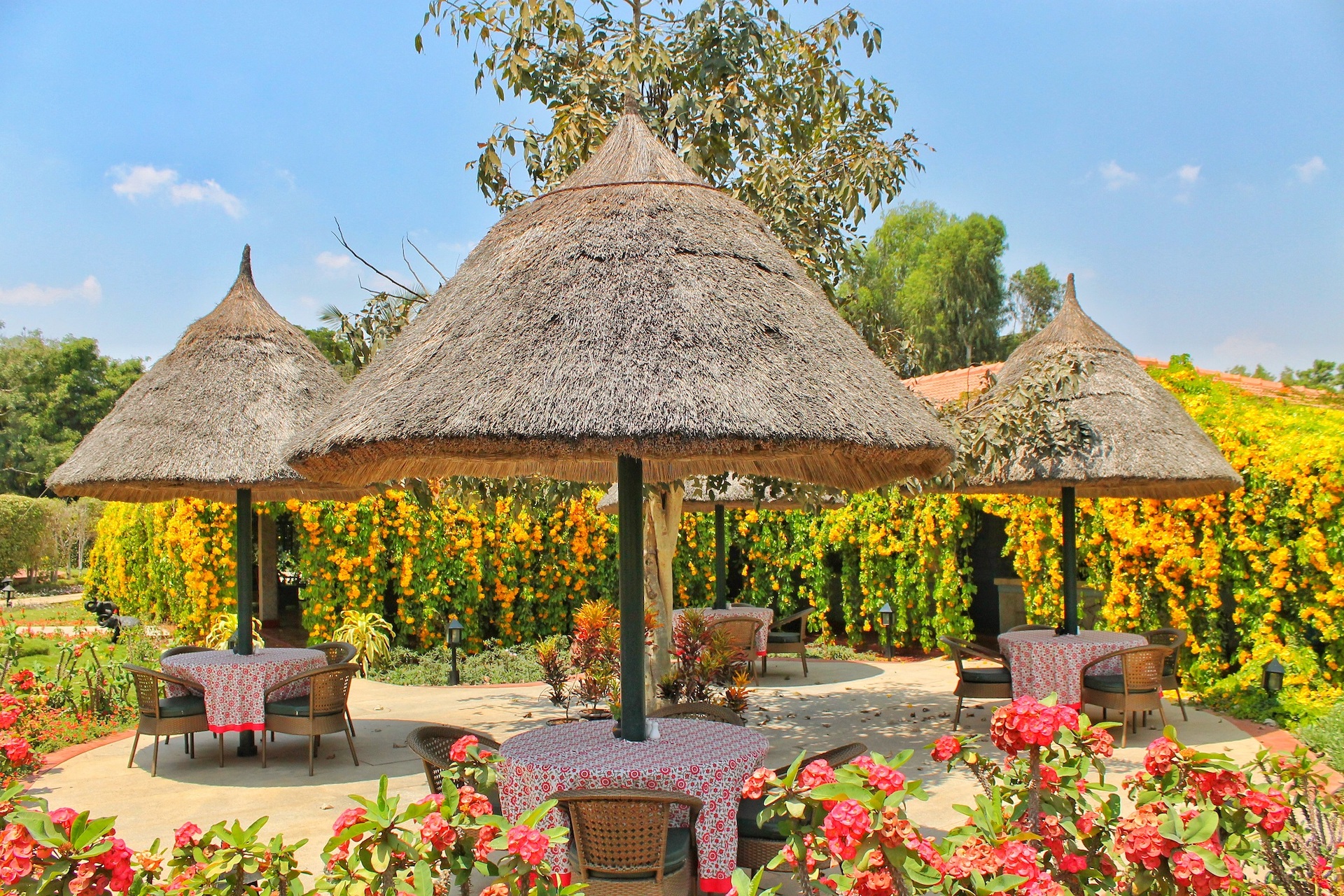 Outdoor dining area at Soukya, Bengaluru
