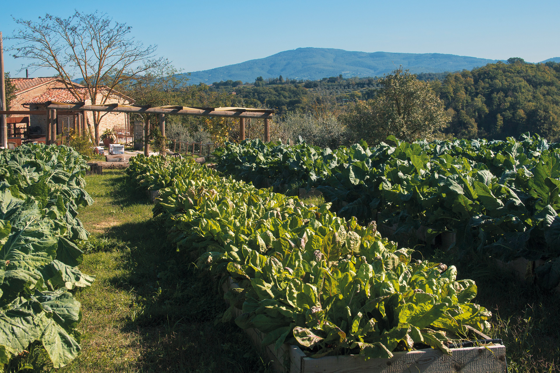 A farm in Umbria
